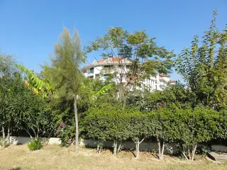 Evrenseki Limanı