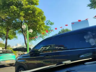 Ruốc tép Hạ Long