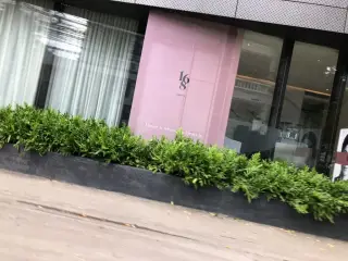 Art Gallery 36