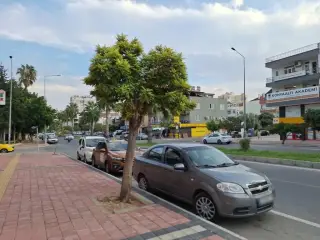 Şok