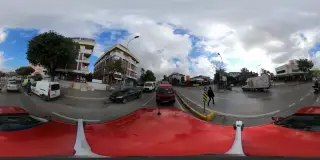 Özsüt