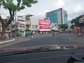 Cây cảnh Nam Anh