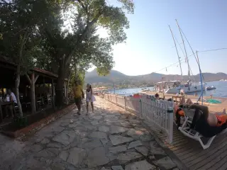 Sarı Kardeşler Midye Selimiye