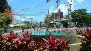 Blueblood Tattoo Koh Samui