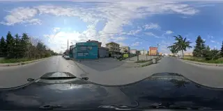 Sezginler
