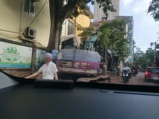 Trường Tiểu Học Trần Phú
