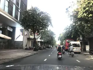 Elise Nguyễn Đình Chiểu