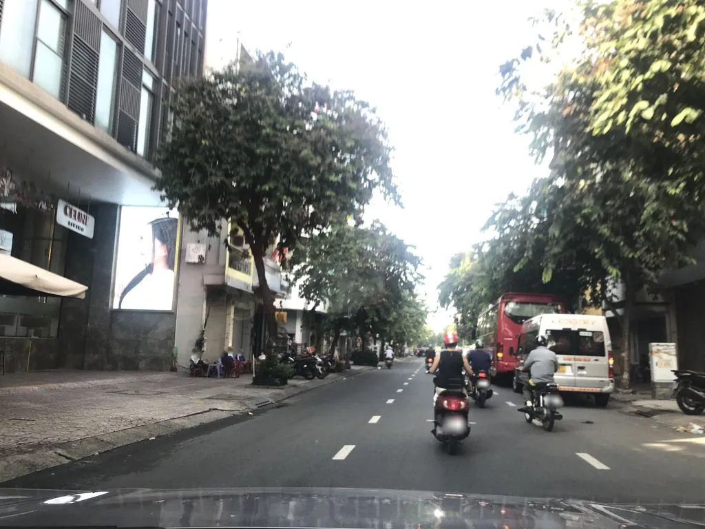 Elise Nguyễn Đình Chiểu