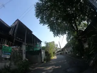 Veggi T-Rex Wec Ci Thi Reks