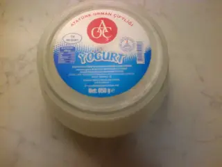 Ankara Sosyete
