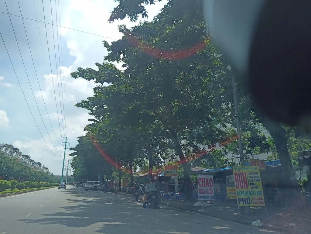 Khăn Trải Bàn Lan Decor