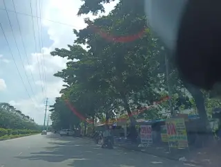 Khăn Trải Bàn Lan Decor