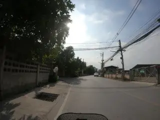 Phad Thiy Renu