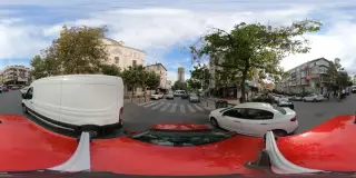 Raydolapnet
