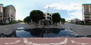 The Lines
