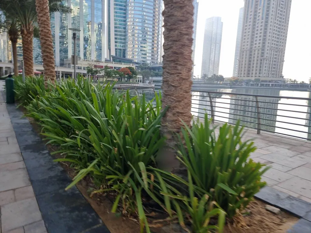 Lakeview, Cluster -B , JLT DUBAI