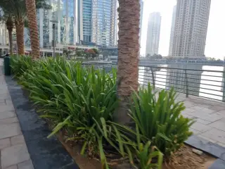 Lakeview, Cluster -B , JLT DUBAI