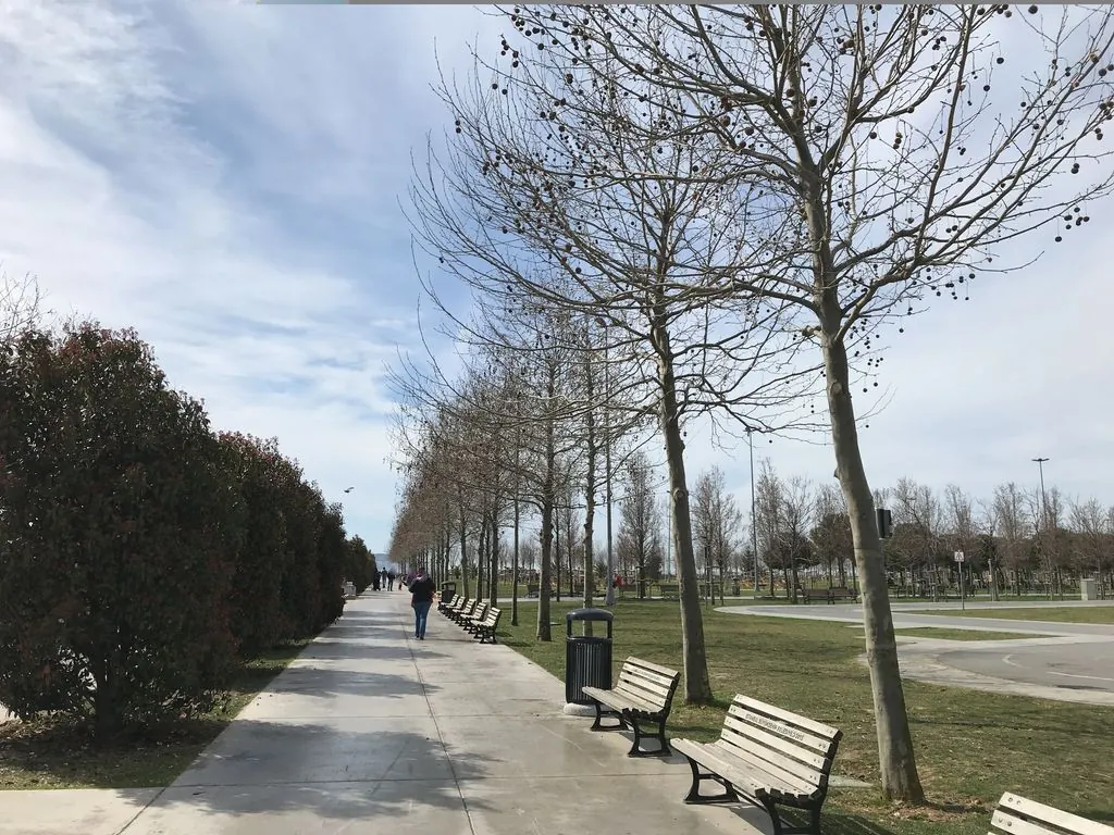Maltepe Paten Pişirketi