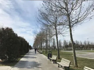 Maltepe Paten Pişirketi