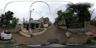 Kalaras backyard
