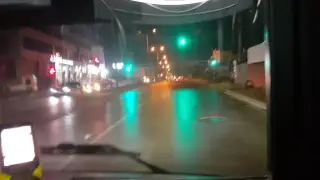 Polipan