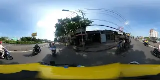 Vườn ươm Cỏ Kiểng Phong Phú