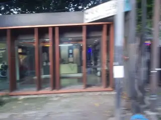 Suck My Duck