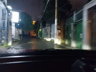 Mẹt tre nia tre tại TP HCM