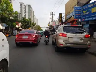 Cây Cảnh Việt Shop