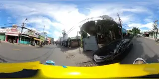 Cá Cảnh Quỳnh Đan