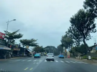Thịt Trâu Hoa Xoan
