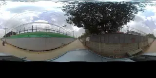 Yeasty Pizza & Slow-Bar