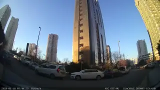 Anımalıst Veterıner Klınıgı