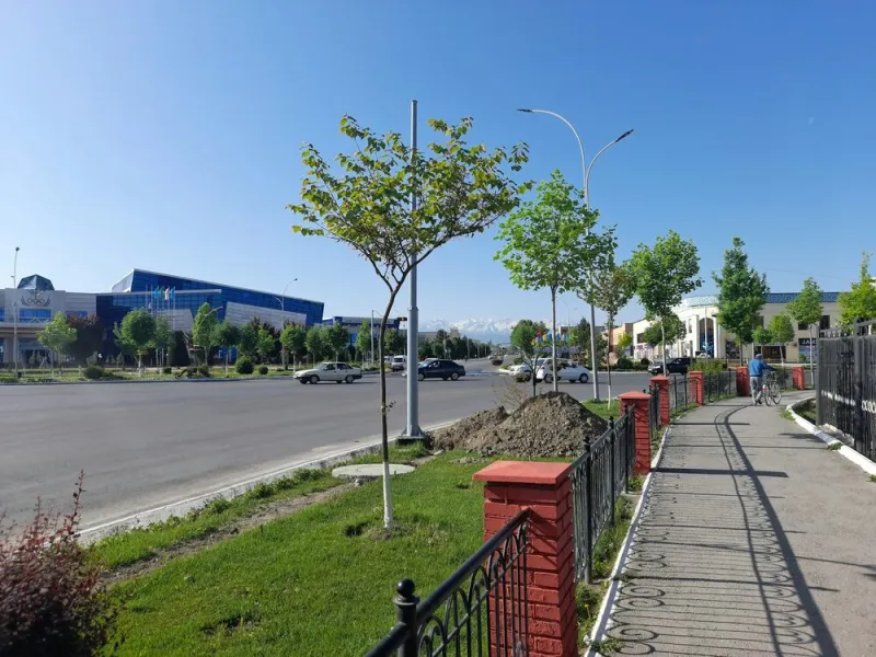 Фергана