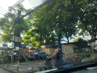 Vịt 262