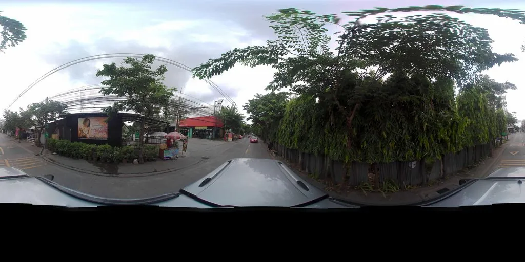 Palm Car Wash