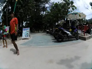 Dolphin Bar