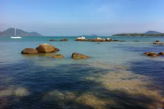 Paradise Beach Bar