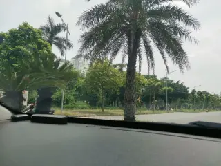 Mầm Non Hoa Hướng Dương Thanh Hà