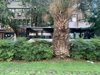 Lozan Dent Agiz ve Dis Sagligi Poliklinigi