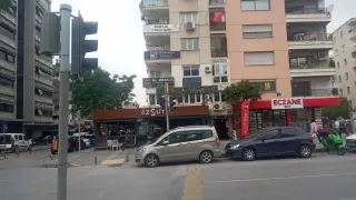 Özsüt