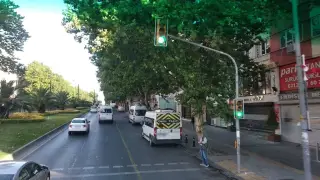 Allergo İlaç