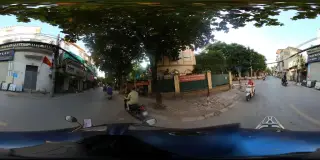 Papaya Việt Nam