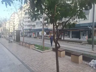 Gürcü Terzi