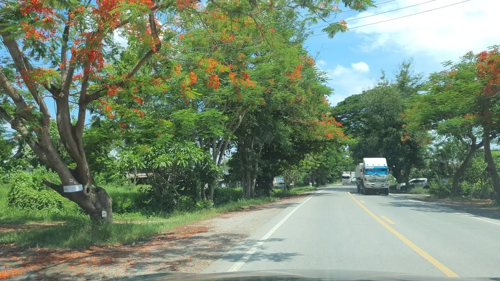 Cediy Mae Khraw Khlinik JadeeThai Medical