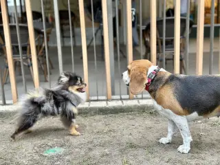 Tilalegal : Thailand Legal Services