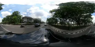 Sarang Kerang Jogja