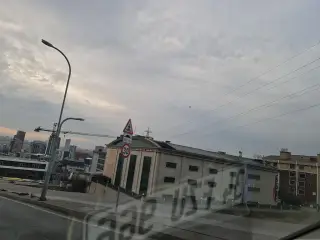 Letoon Fabrika Aslanlar Ayakkabı