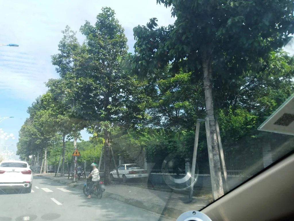 Mì Quảng Phố Hội An