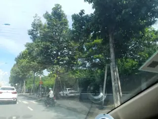 Mì Quảng Phố Hội An